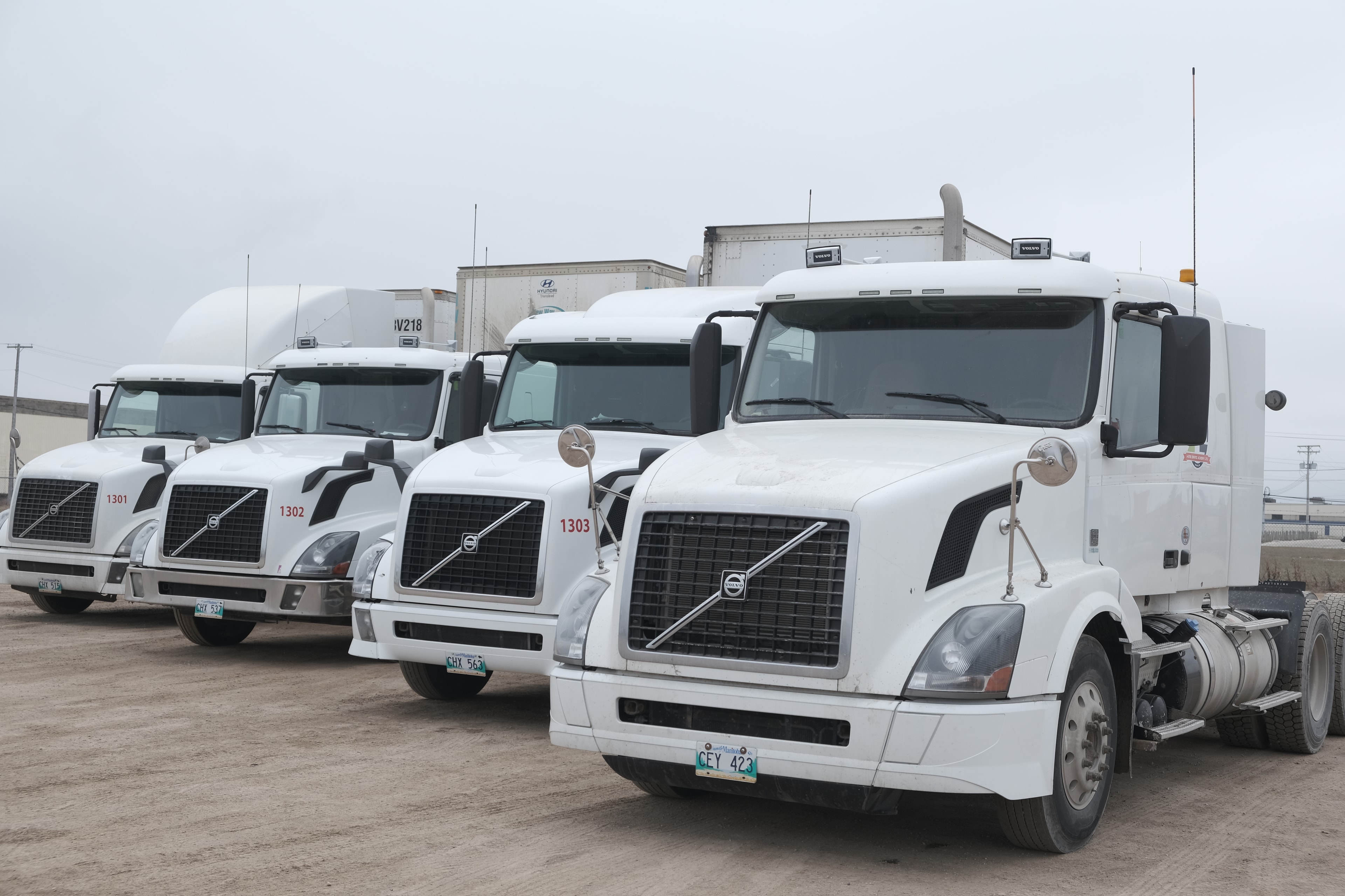 A-One Driving Academy white Volvo trucks lined up front-facing